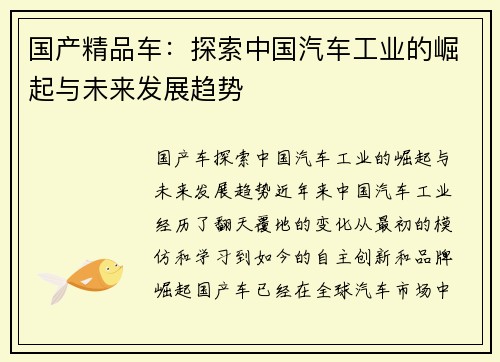 国产精品车：探索中国汽车工业的崛起与未来发展趋势